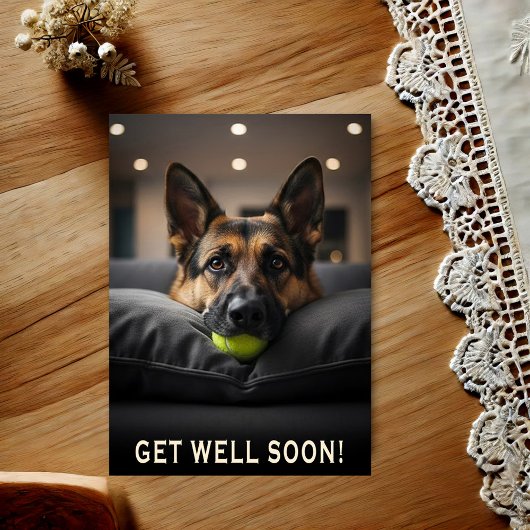 German Shepherd Get Well Postcard ポストカード