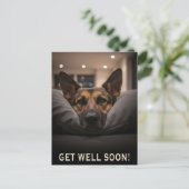 German Shepherd Get Well Postcard ポストカード (スタンド正面)
