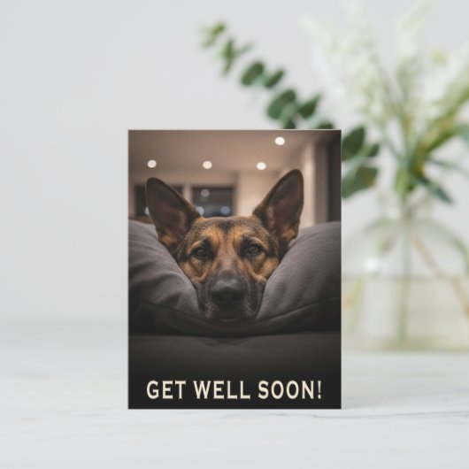 German Shepherd Get Well Postcard ポストカード (スタンド正面)