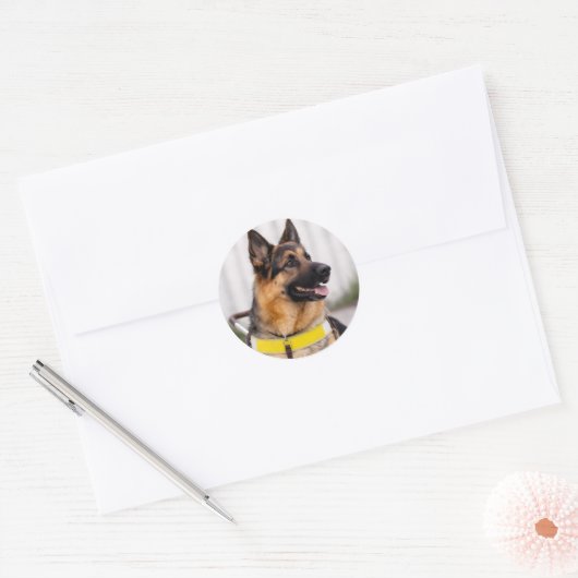 German Shepherd Guide Dog Graduation Envelope Seal ラウンドシール (封筒)