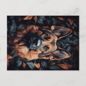 German Shepherd in Leaves ポストカード (正面)
