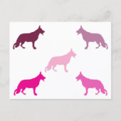 German Shepherd minimal pattern magenta  ポストカード (正面)