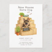 German Shepherd New House Moving ポストカード (正面)