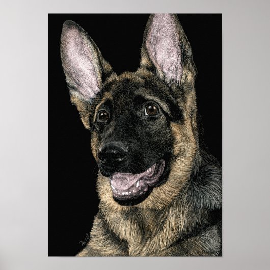 German Shepherd Pup – ポスター/プリント- "Rommel" ポスター (正面)