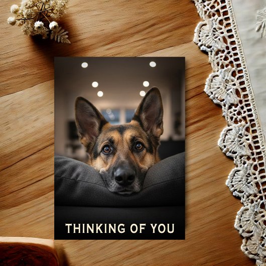 German Shepherd Thinking Of You Postcard ポストカード