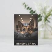 German Shepherd Thinking Of You Postcard ポストカード (スタンド正面)