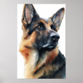 German shepherd turns his head watercolor ポスター (正面)