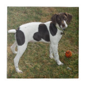 German_short_haired_pointer_puppy タイル (正面)