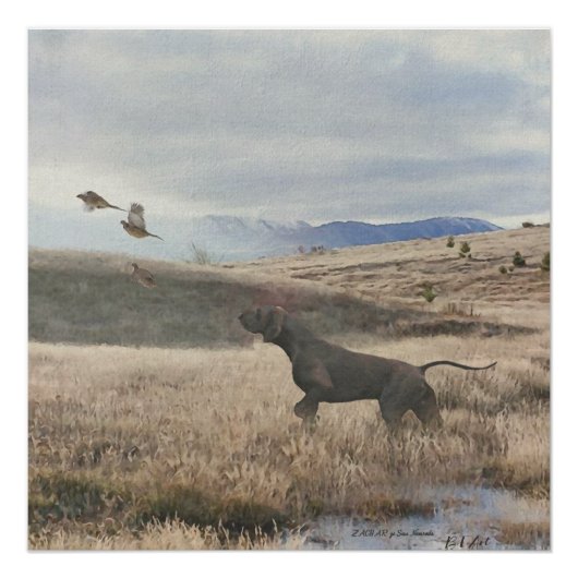 German Shorthaired Pointer狩りquail, Art ポスター (正面)