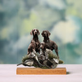 German Shorthaired Pointer     アクリルサイン (ニュートラル)