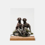 German Shorthaired Pointer     アクリルサイン (正面)