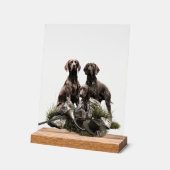 German Shorthaired Pointer     アクリルサイン (傾斜)