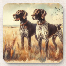 German Shorthaired Pointer