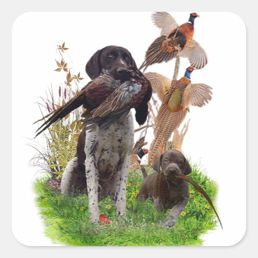 German Shorthaired Pointer    Sticker スクエアシール (正面)