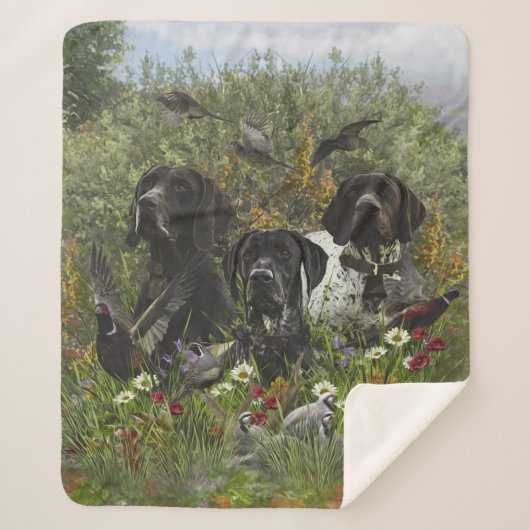 German Shorthaired Pointers   シェルパブランケット (正面)