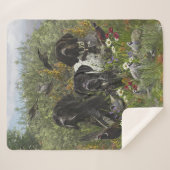 German Shorthaired Pointers   シェルパブランケット (正面(横))