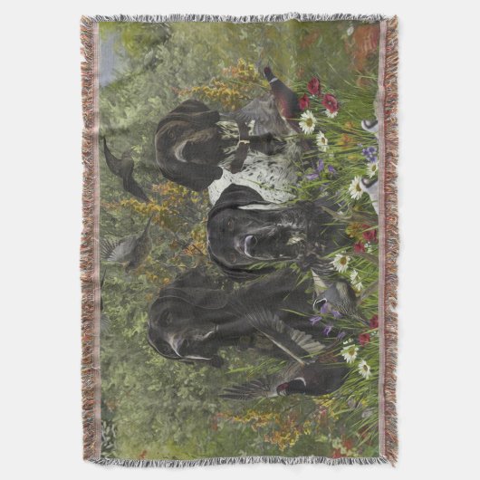 German Shorthaired Pointers   スローブランケット (正面縦)