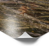 German Shorthaired Pointers  フォトプリント (角)