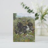 German Shorthaired Pointers   ポストカード (スタンド正面)