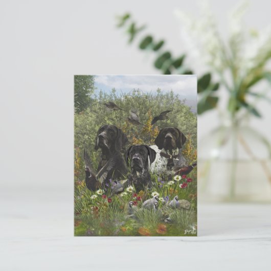 German Shorthaired Pointers   ポストカード (スタンド正面)