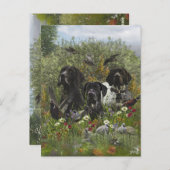 German Shorthaired Pointers   ポストカード (正面/裏面)