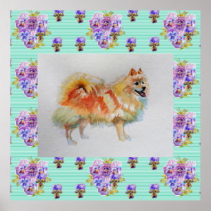 German Spitz Pomeranian Dog art Painting Poster ポスター