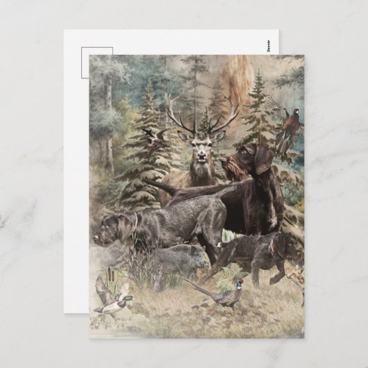 German Wirehaired Pointer シーズンポストカード (正面/裏面)