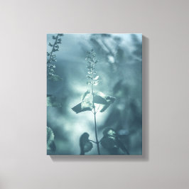 Germanderフローラ自然写真 キャンバスプリント