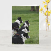 GermanShepherds カード (黄色い花)