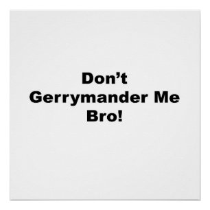 Gerrymander Me Bro Repetitionを使用しない ポスター