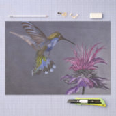 Geschenkpapier Kolibri 薄葉紙 (クラフト)