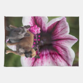 Geschirrtücher キッチンタオル (横)