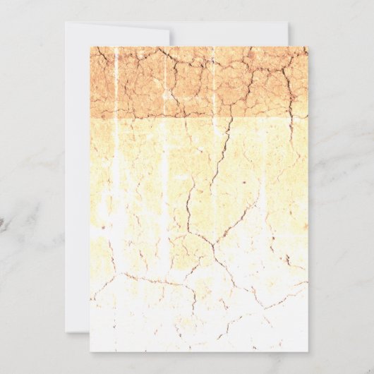 Get-together招待状 招待状 (裏面)