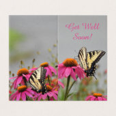 Get Wellアゲハチョウ蝶、ピンクの花 (外部フラット)