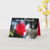 GET WELLバラ カード (黄色い花)