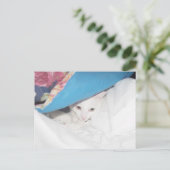 Get Wellポストカード ポストカード (スタンド正面)