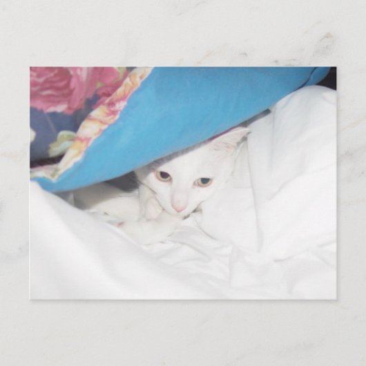 Get Wellポストカード ポストカード (正面)