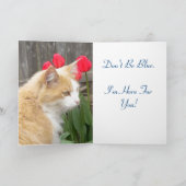 Get Well Blue子猫カード カード (内部)