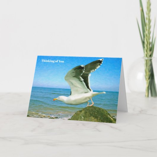 Get well cardの鳥の画像 カード (正面)