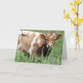 Get Well Card カード (黄色い花)