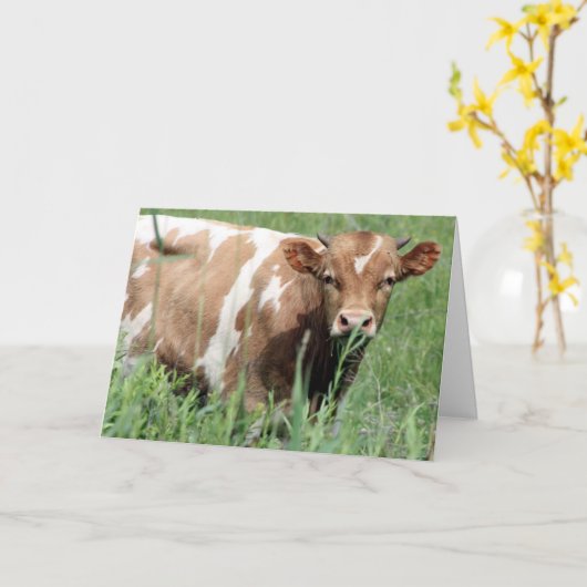 Get Well Card カード (黄色い花)