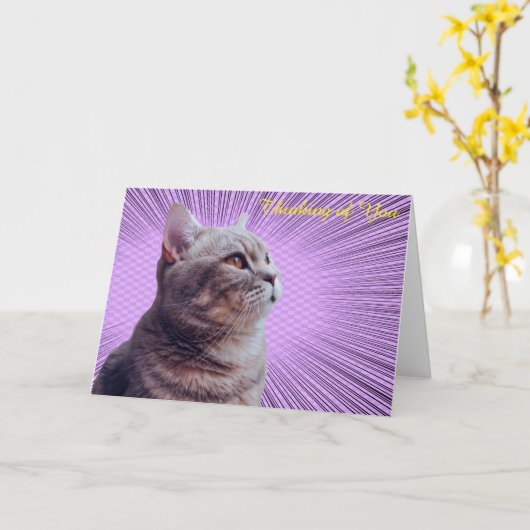 Get Well Card カード (黄色い花)