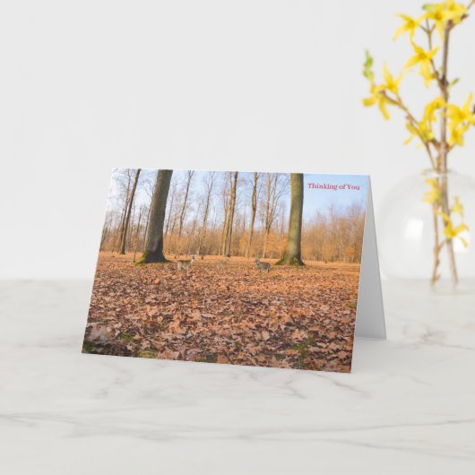 Get Well Card カード (黄色い花)