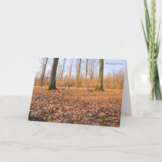 Get Well Card カード (正面)