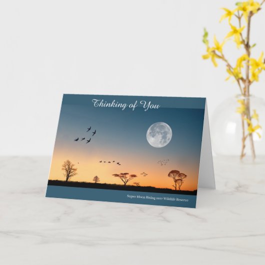 Get Well Card カード (黄色い花)