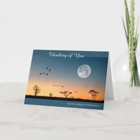 Get Well Card カード (正面)