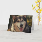 Get Well Card カード (黄色い花)