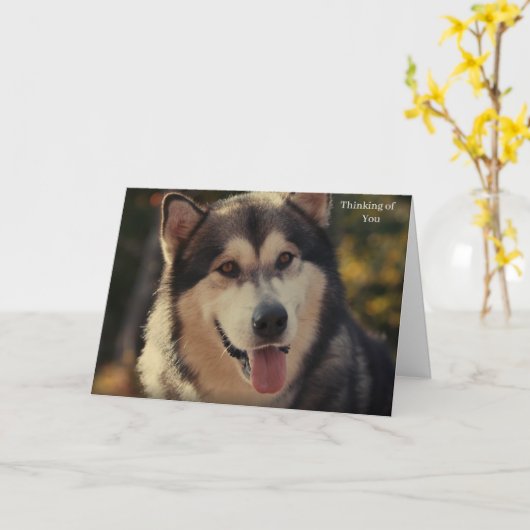 Get Well Card カード (黄色い花)