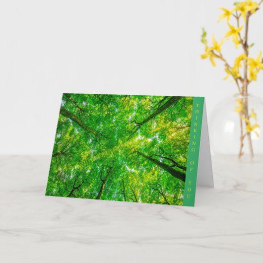 Get Well Card カード (黄色い花)