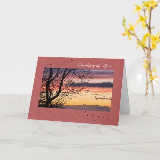 Get Well Card カード (黄色い花)